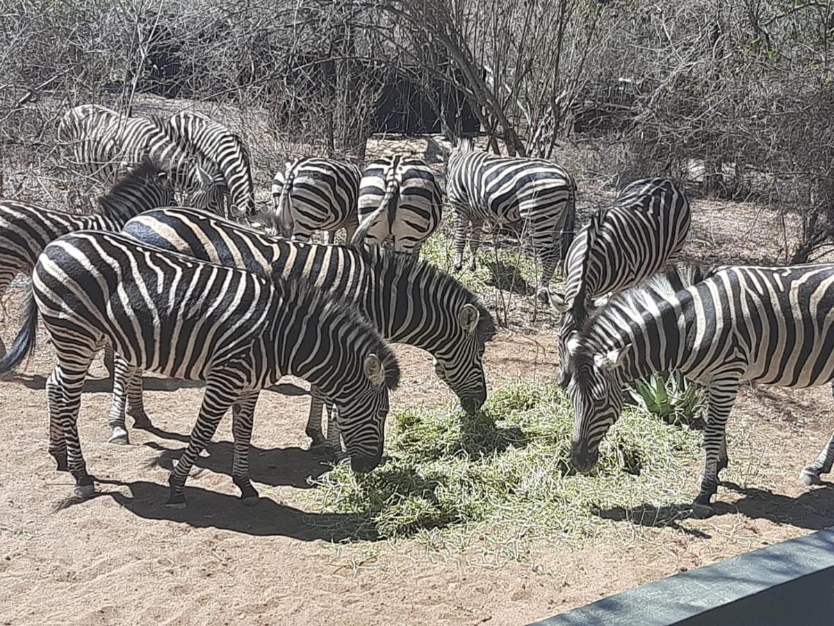 African Bush Escape Marloth Park Buitenkant foto