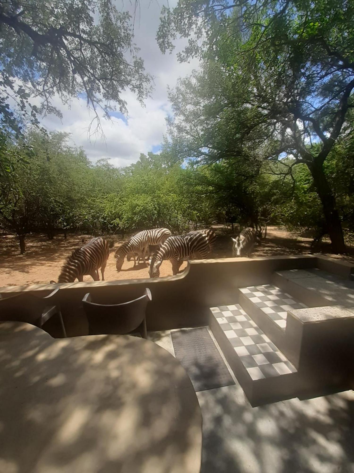 African Bush Escape Marloth Park Buitenkant foto